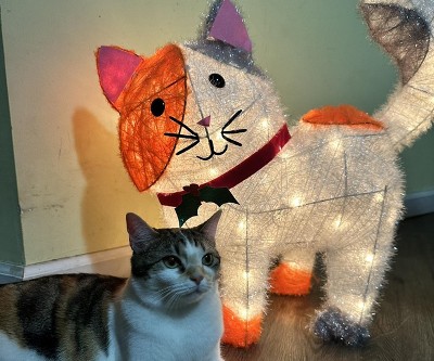 Guest review image 1 of 2, zoom in