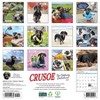 Willow Creek Press Crusoe the Celebrity Dachshund 2025 Wall Calendar: Monthly 12x12" Paper, All Ages, Blue, Sewn Binding - image 2 of 4