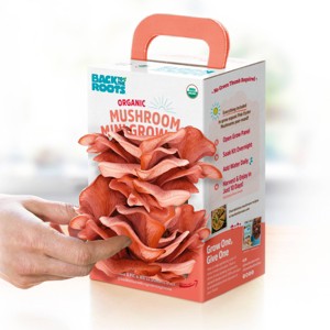 Back to the Roots Organic Mushroom Mini Grow Kit Pink Oyster - 1 of 4