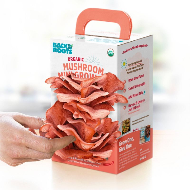 Back to the Roots Organic Mushroom Mini Grow Kit Pink Oyster, 1 of 12
