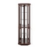 Syemin Decorative Storage Cabinets Corner Curio Cabinet, Collectibles Display Case, Glass Storage Cabinets, Red, 15.31"*15.31"*69.84" - 2 of 4