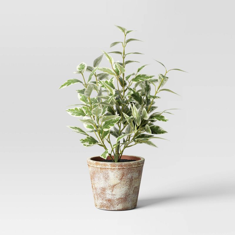 15&#34; Variegated Ficus Artificial Plant - Threshold&#8482; designed with Studio McGee, 1 of 6