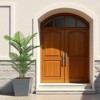 5 FT Artificial Palm Tree Set of 2, Faux Tropical Dypsis Lutescens Tree In Pot, Lifelike Green Fake Tree for Home Living Room Office Decor - 4 of 4