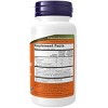 BerryDophilus Extra Strength 10 Billion by Now Foods  -  50 Chewable - 2 of 2