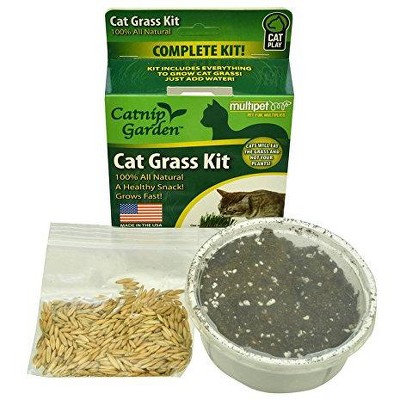 Multipet Catnip Garden Cat Grass Kit with New Container Cat Toy