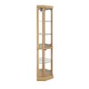 Lyngins American Design Glass Display Cabinet with 2 Side-Hung Doors, Lighted Corner Curio Cabinet with Adjustable Shelves, Accent Storage Cabinet - 4 of 4