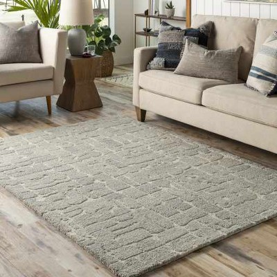 Hauteloom Rectangle Area Rug   LightGray