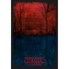 Juniors Womens Stranger Things Creel Household in The Upside Down Festival Muscle Tee - 2 of 4