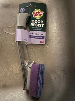 Guest review image 2 of 4, zoom in