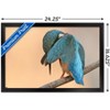 Trends International The Comedy Wildlife Photography Awards: Antonio Medina - Ashamed Framed Wall Poster Prints - 3 of 4
