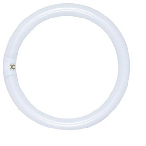 Satco 32 W T9 1.13 in. D X 12 in. L Circline Fluorescent Bulb Daylight Tubular 6500 K 1 pk - 1 of 1