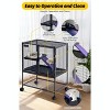 64" H Deluxe Small Animal Cage – 4‑Tier with Removable Ramp, Hammock, Storage Stand & Removable Tray, for Ferrets/Chinchillas/Guinea Pigs/Hamsters - 4 of 4