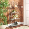 Tyrique 4 Tier Shelf Unit - Indoor/Outdoor - PAT5033 - Safavieh - 2 of 4