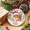 Lomsoe Squirrel Christmas Ornament Squirrel Christmas Ornament Christmas Tree Squirrels Gifts Ceramic Hanging Ornament Christmas Decor Christmas Gift - 4 of 4