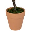 Northlight Wooden Mixed Floral Valentine's Day Artificial Potted Topiary - 14" - Red - 4 of 4