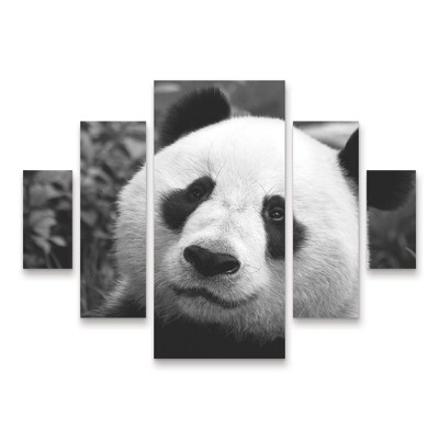 Trademark Fine Art SD Smart Giant Panda 5 Piece Panel Set Art