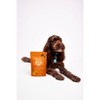 Zesty Paws Allergy and Immune Bites for Dog Lamb Flavor - 60ct - 4 of 4