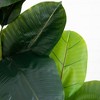 Nearly Natural 6-ft Artificial Rubber Tree in Decorative Planter with Real Touch Leaves - 3 of 4