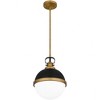 Quoizel Lighting Sullivan 1 - Light Pendant in  Matte Black - 4 of 4