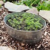 21" Oval Galvanized Tub with 2 Side Handles Steel - ACHLA Designs: Metal Garden Planter, Small Outdoor Container - 2 of 4