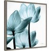 Amanti Art Translucent Tulips III Sq Aqua Crop by Debra Van Swearingen Framed Canvas Wall Art - 3 of 4