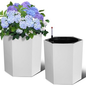 16 Inch Tall Planters Set of 2, Indoor Plants with Water Level Monitor & Drainage Hole & Wheels, Large Planter Pots for Patio, Porch - 1 of 4