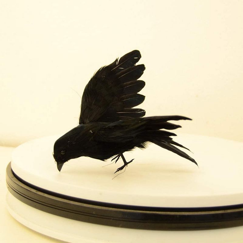 Realistic Crows Halloween Birds Decoration, Black Feathered Crows Decor, Handmade Black Birds Prop, 4 of 5