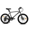 Okak 20IN Toddler Bike with 7-Speed and Steel Frame, Kids Bike with Dual Disc Brakes and 1.75IN Tires, Kids Cruiser Bikes for Boys & Girls - 2 of 4