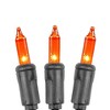 Novelty Lights 11 Feet 50 Bulbs Incandescent Mini Lights, Clear on Brown Wire with 2.5" Spacing, UL Listed for Indoor/Outdoor Use, Connectable - 2 of 4