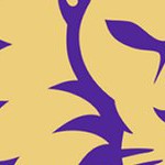 orlando city soccer club