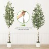 Faux Olive Tree - Fake Potted Olive Silk Plant with White Planter, Natural Olive  and Realistic Leaves for Home Office Decor - 4 of 4