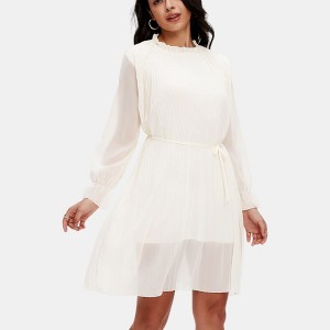 Knit & Lounge Women’s Pleated Chiffon Dress Long Sheer Sleeves Ruffle Neck Belted Waist Flowing Lined Skirt - 1 of 4
