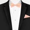 Jacob Alexander Men's Solid Color Pre-Tied Adjustable Banded Bow Tie - 2 of 4