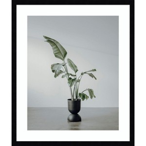 Amanti Art Portrait of a Plant by Incado Wood Framed Wall Art Print - 1 of 4