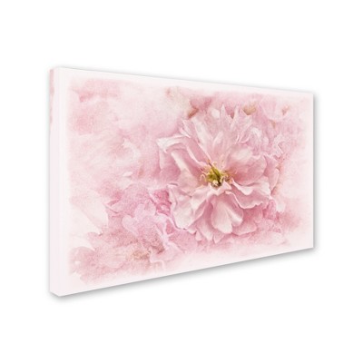 Trademark Fine Art -Cora Niele 'Cherry Blossom' Canvas Art