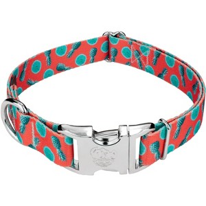 Country Brook Petz Premium Tropical Tango Dog Collar Limited Edition - 1 of 4