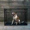 Lucky Dog Dwell Series 42 Inch Large Lightweight Kennel Secure Fenced Pet Dog Crate w/Divider Panels, Sliding Doors, and Removable Tray, Black - 3 of 4