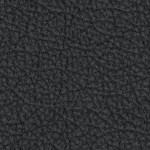 new england patriots