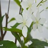 Artificial Flower Tree, 150cm Tall Faux Flowers Floor Plant Indoor Decor with Flowers for Spring Home Room Office Wedding Party - 3 of 4