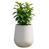 LeisureMod Orchid Fiberstone Decorative Round Planter Pot with Drainage Holes, Weather-Resistant for Indoor/Outdoor Use - 4 of 4