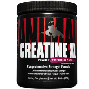 Universal Nutrition Animal Creatine XL Powder Dietary Supplement - 30 Servings - 1 of 1