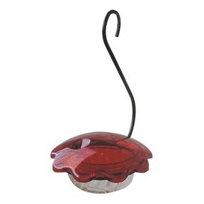 Birds Choice Hummingbird Single Cup Feeder