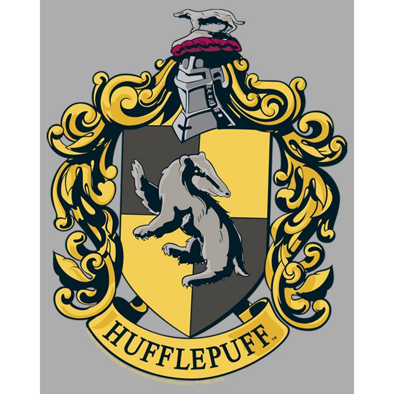 Boy's Harry Potter Hufflepuff Gold Crest T-Shirt, 2 of 6