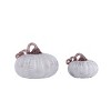 Transpac Glass 7.48 in. Gray Harvest Smokey Pumpkins Set of 2 - 3 of 4