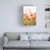 Trademark Fine Art - Ellen van Deelen Poppies IV Canvas Art - image 2 of 4