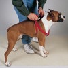 Casual Canine Nylon 2 Step Harness 9-15In Red - 3 of 4
