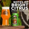 Dogfish Head Covered in Nuggs Seasonal Beer - 6pk/12 fl oz Cans - 3 of 4