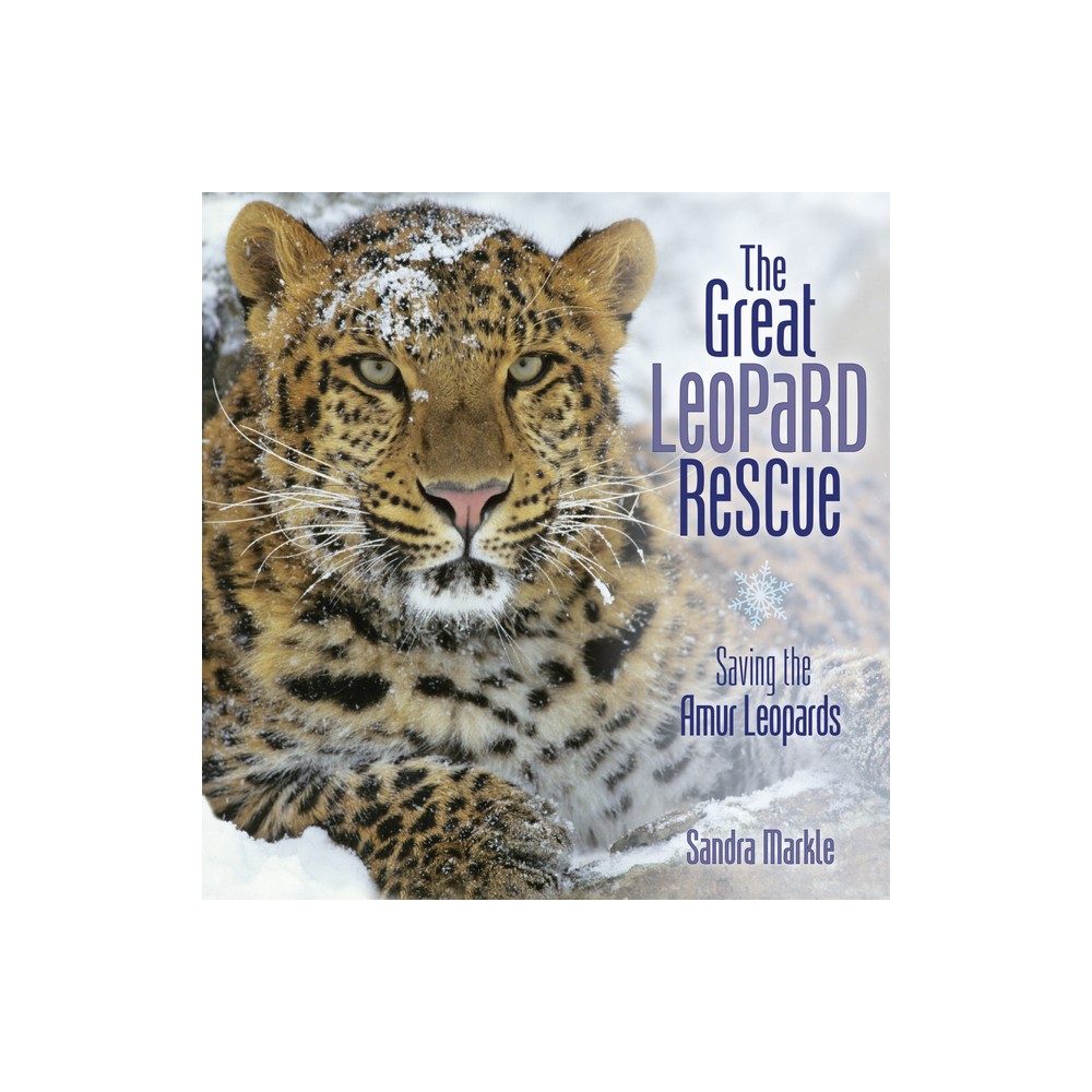 The Great Leopard Rescue - (Sandra Markles Science Discoveries) by Sandra Markle (Paperback)