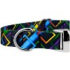 Country Brook Petz Premium Dog Collar - Abstract Collection - 4 of 4