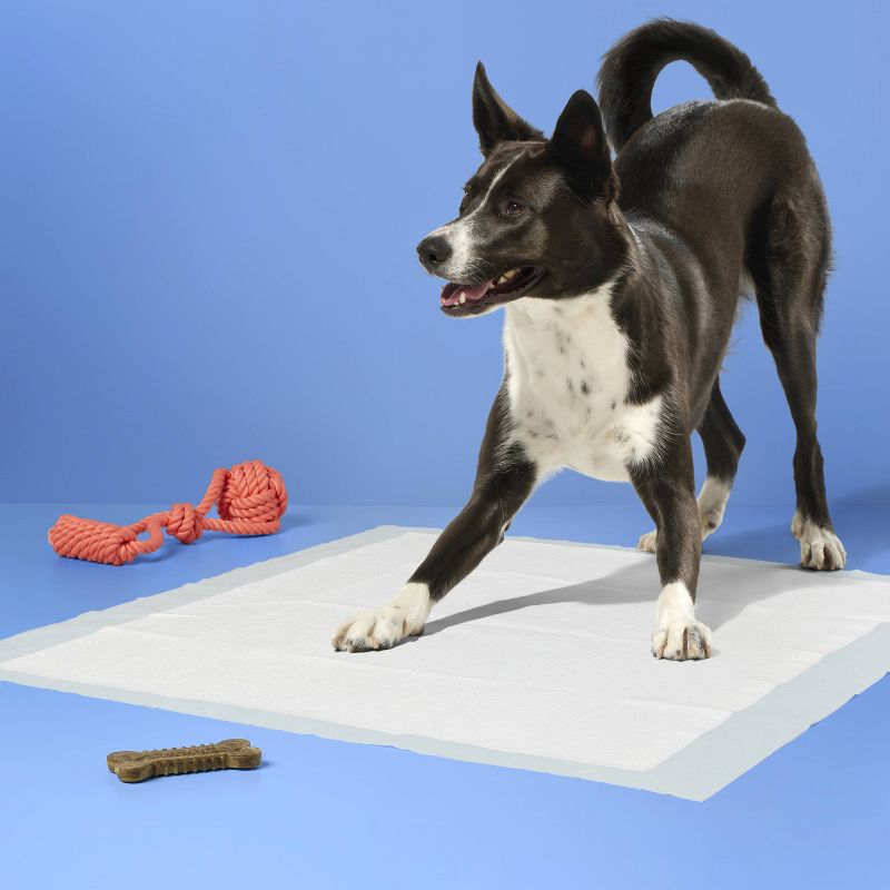 Dog Training Pads - XL - up & up™, 2 of 5